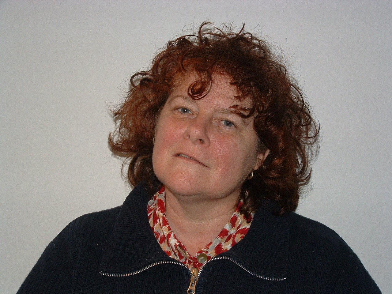 <span class="caps">DSCF0006</span>