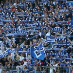 hsv vfl