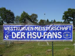 DSC04959_255x191