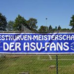DSC04959_255x191